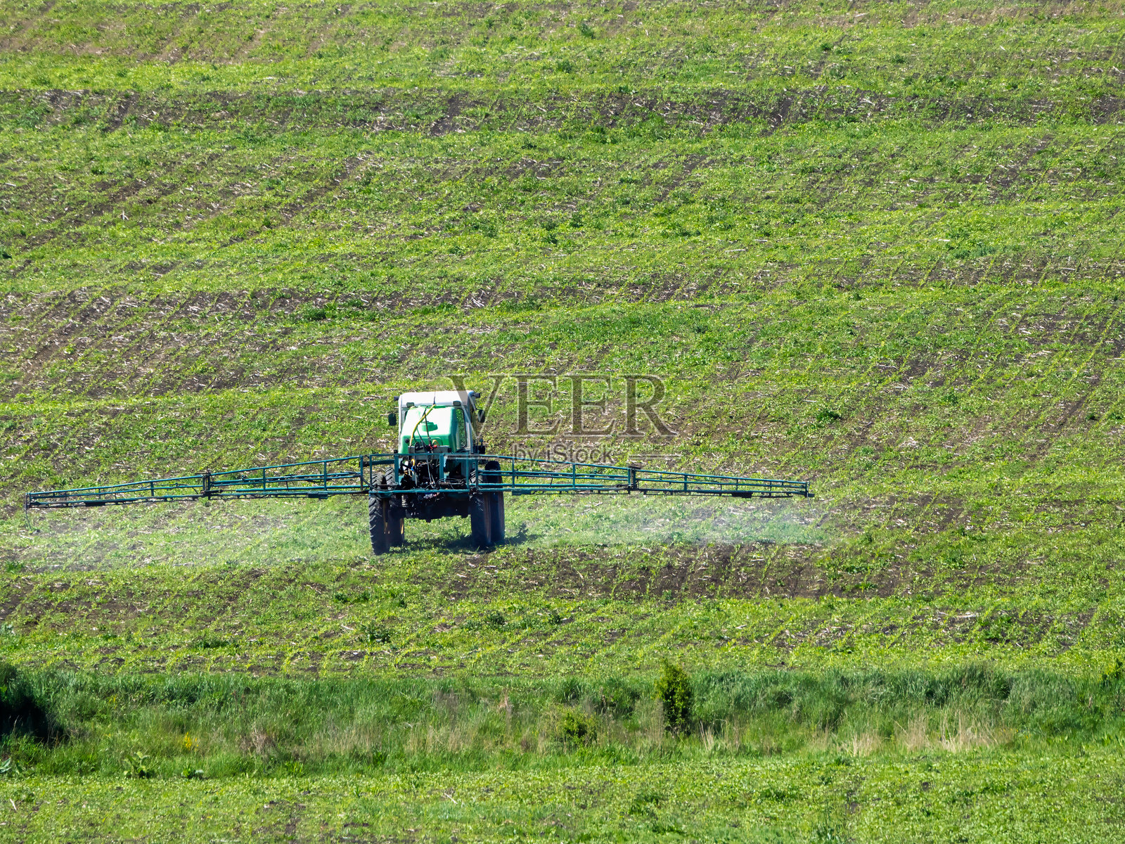 大旱灾，土地干旱，拖拉机为粮田灌溉。照片摄影图片