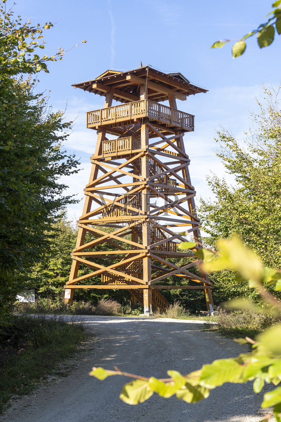 森林空地上的木制观景塔照片摄影图片