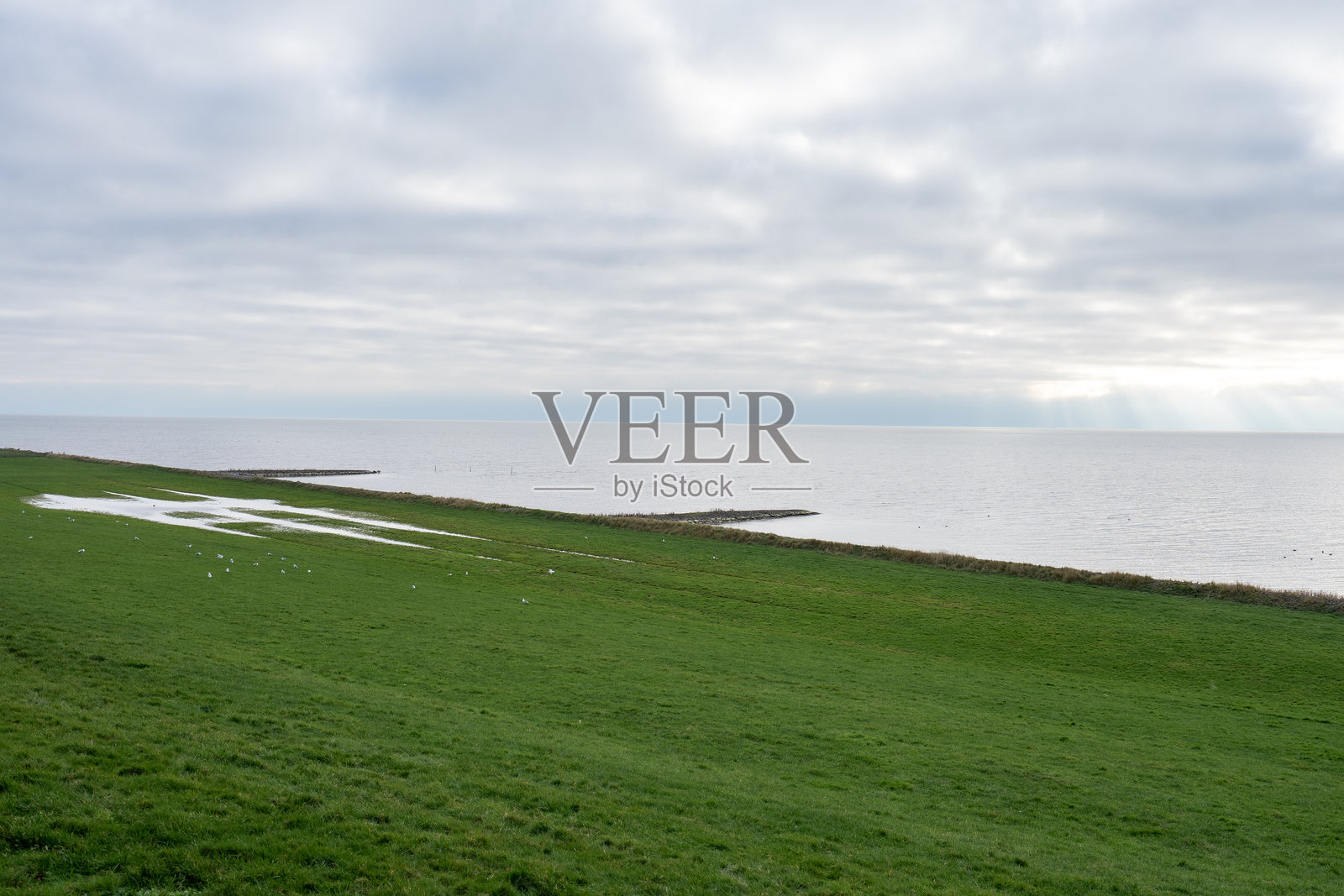 典型的荷兰风景，带有堤坝和海洋照片摄影图片