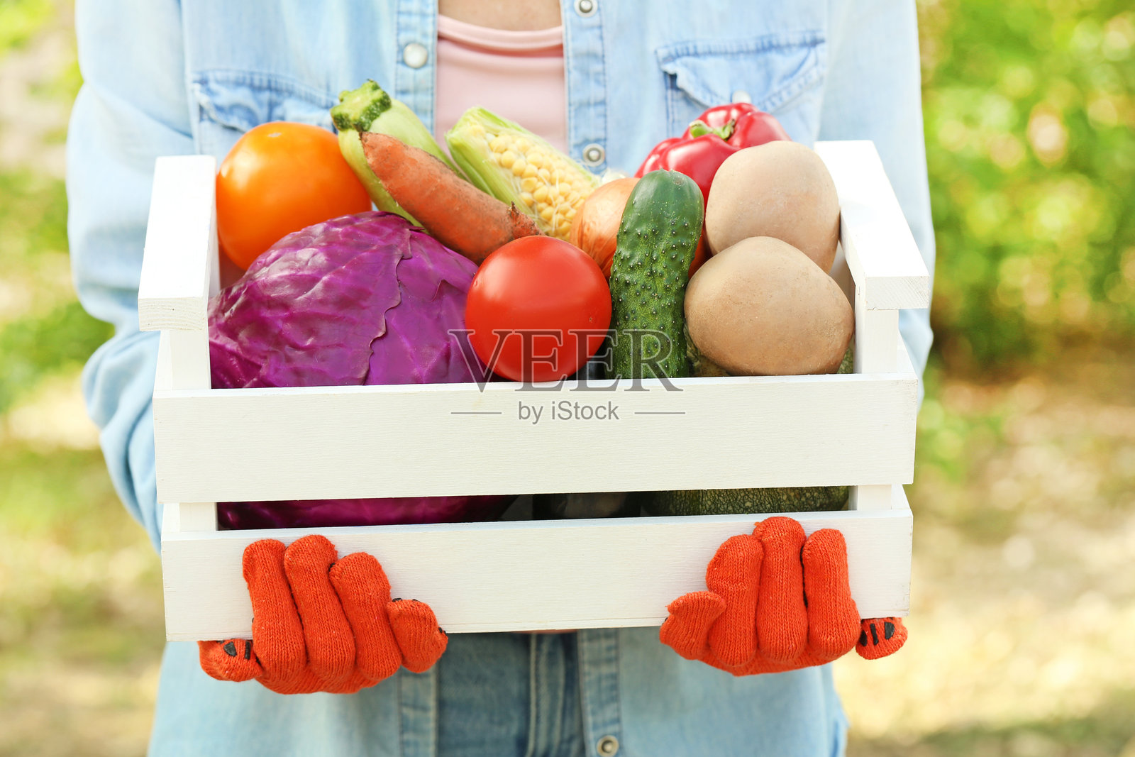 女性手握着装有新鲜蔬菜的箱子照片摄影图片