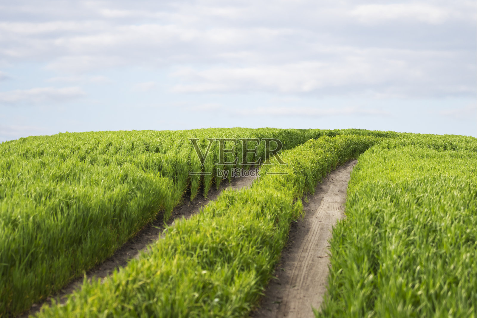 绿色的山和路在美丽的天空背景下照片摄影图片