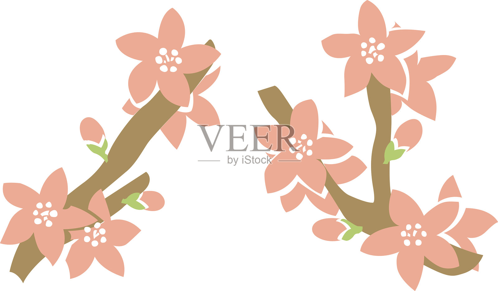 桃花枝条矢量插图。插画图片素材