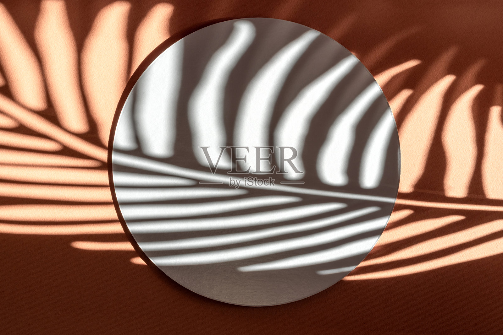 空的讲台构图，材料为桉树花。产品展示。背景为摩卡色。由自然材料构成的美丽背景。照片摄影图片