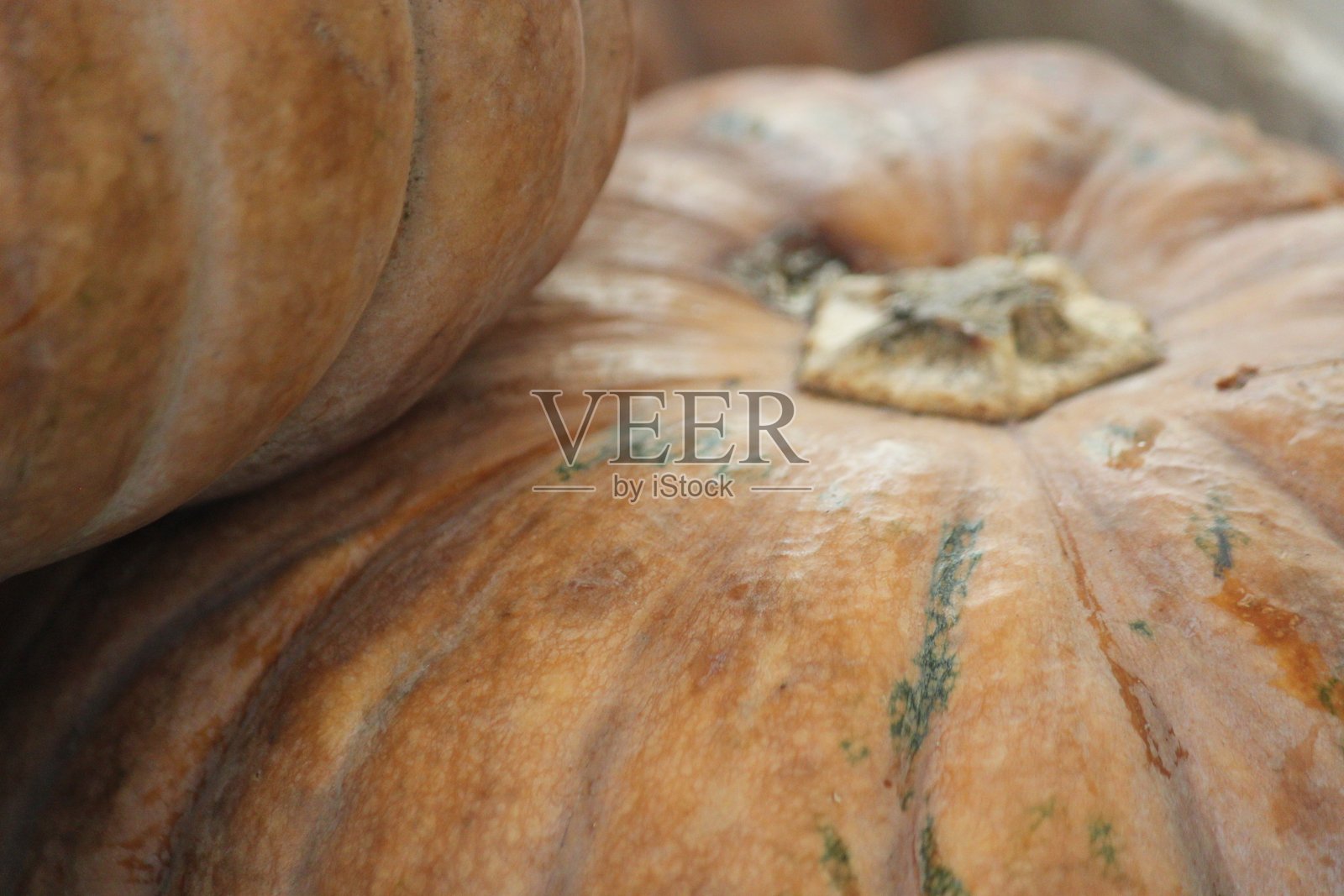 冬季南瓜照片摄影图片