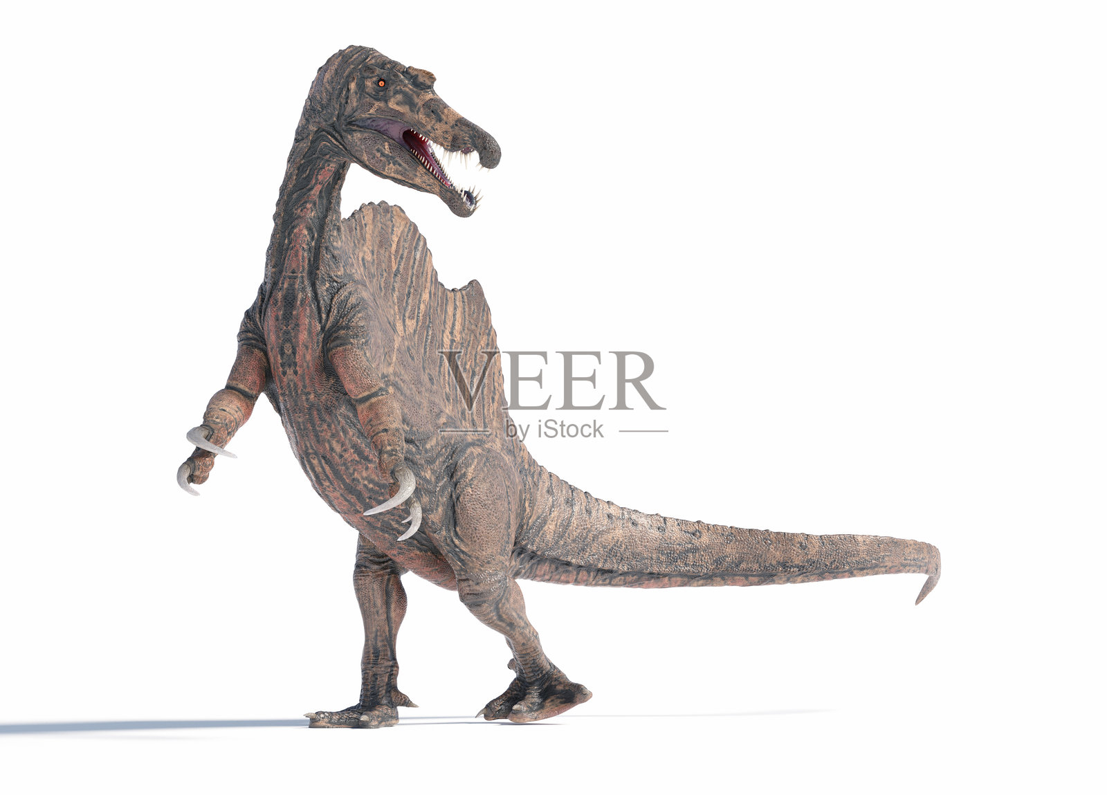 棘龙在晚白垩纪的荒凉景观中行走照片摄影图片