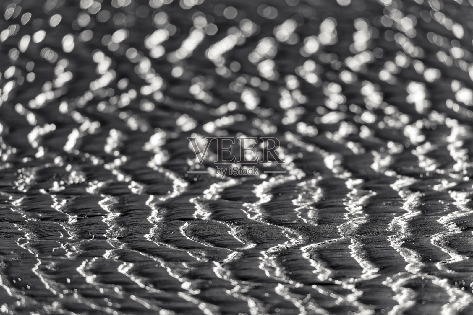 不列颠哥伦比亚省温哥华岛照片摄影图片