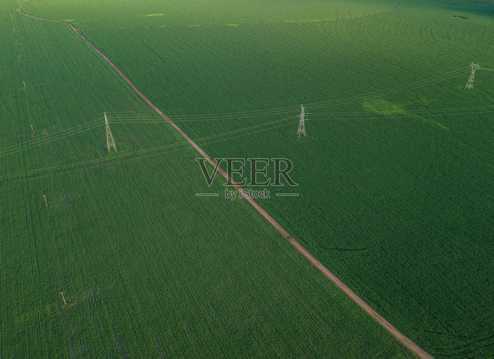 巴西马托格罗索州西诺普地区的大豆单一栽培区的鸟瞰图照片摄影图片