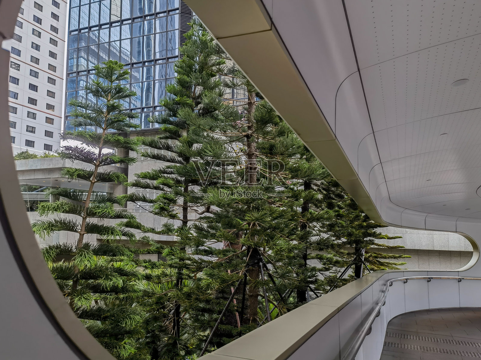 透过现代弯曲的人行道俯瞰香港城市景观。特写展示自然与城市建筑的融合，暗示中央商务区的旅行与商业元素。照片摄影图片