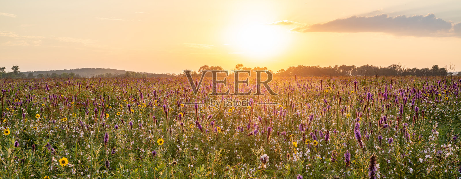 切罗基草原，阿肯色州照片摄影图片