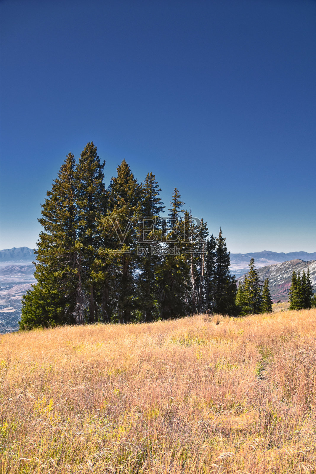 美国犹他州华萨奇山脉的阿美利肯福克峡谷，博克艾尔德峰徒步小径，尤因塔-华萨奇-凯奇国家森林。照片摄影图片