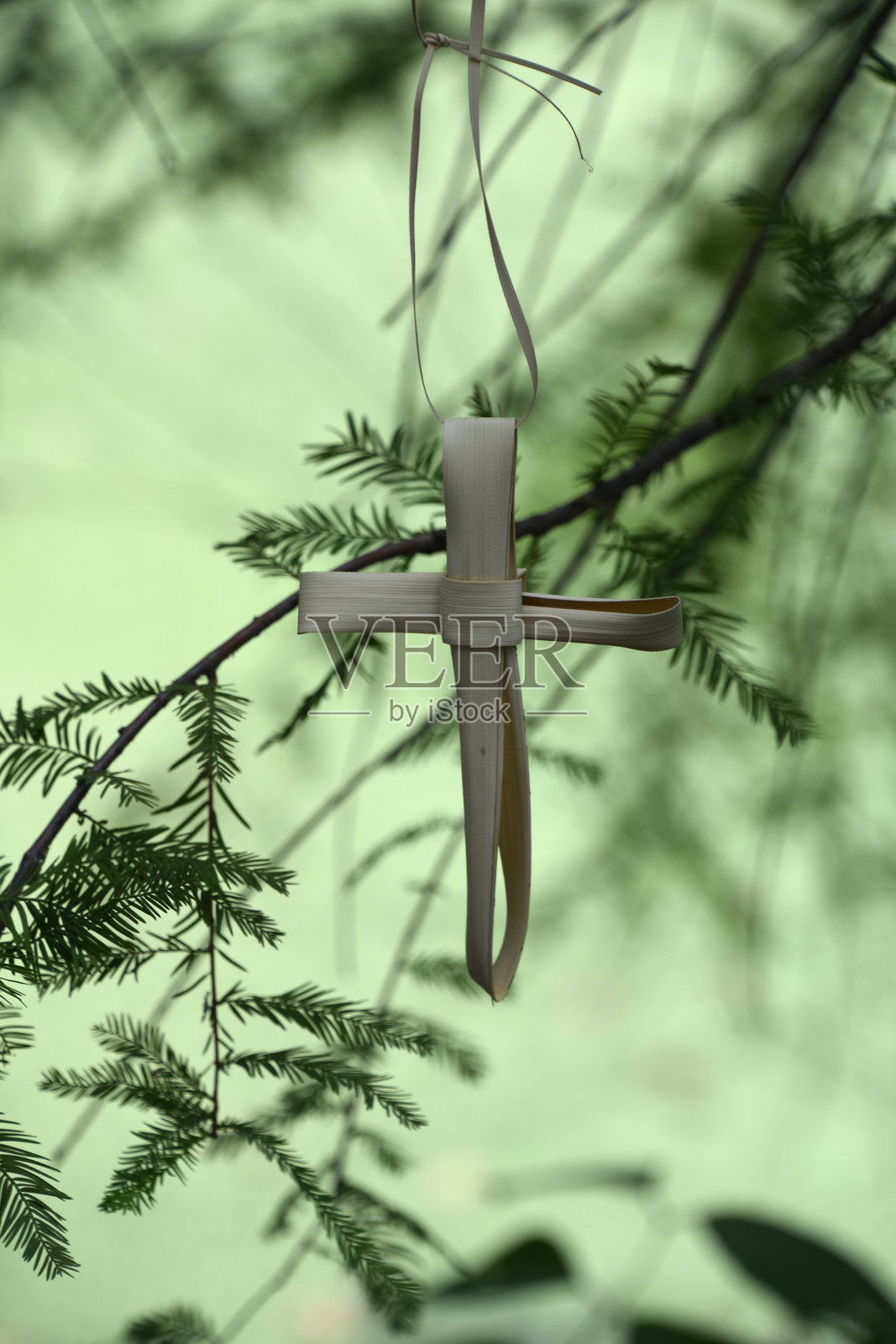 小十字架悬挂在常青树上照片摄影图片