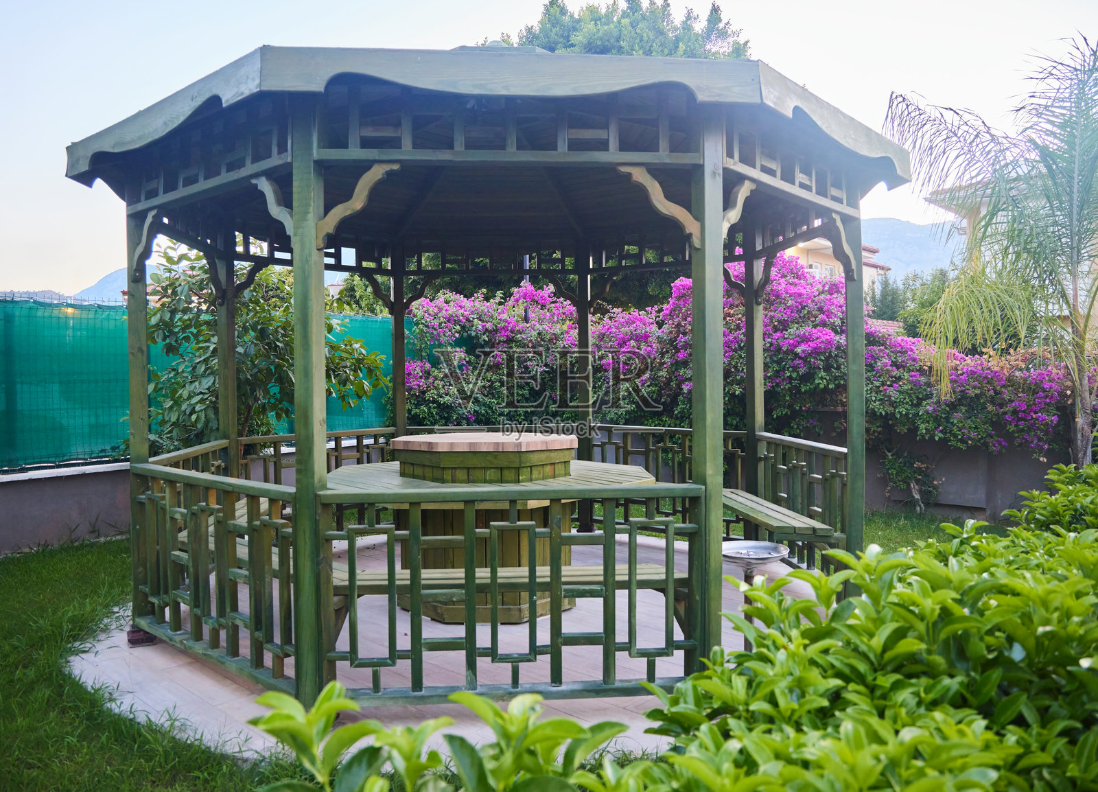 热带城市中的花园凉亭照片摄影图片