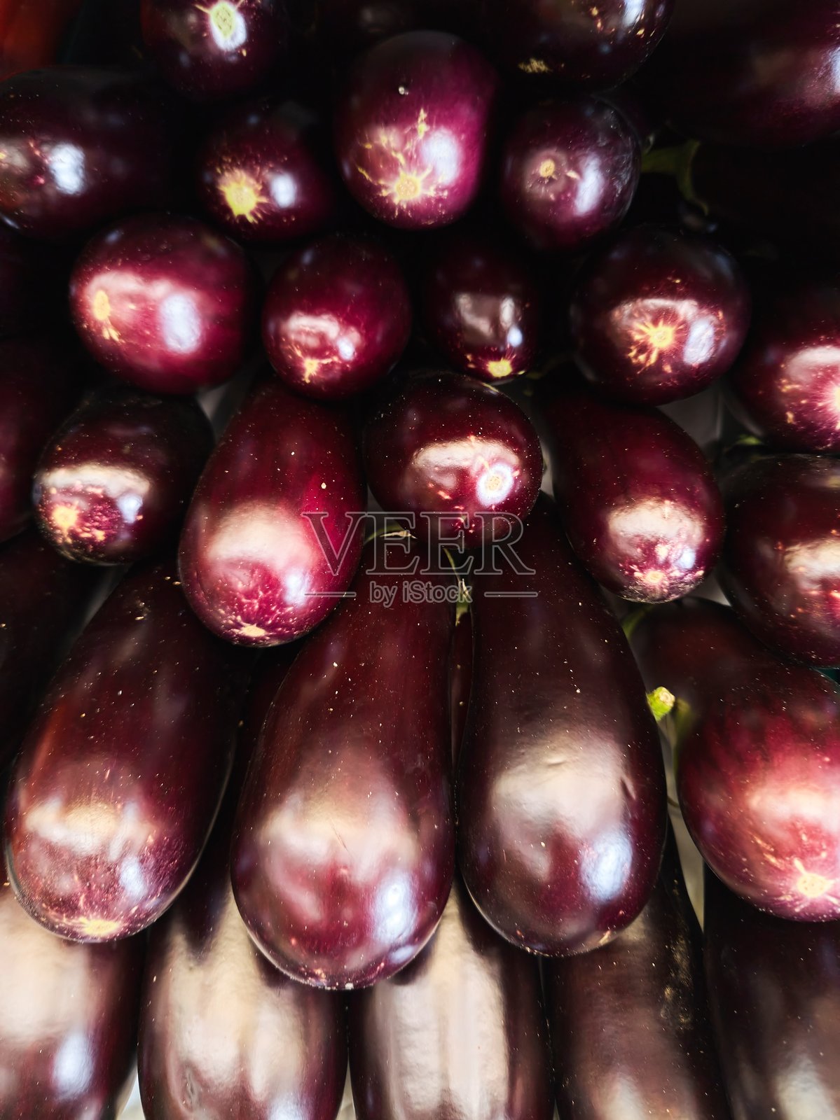 茄子果实。许多相同种类的蔬菜。照片摄影图片