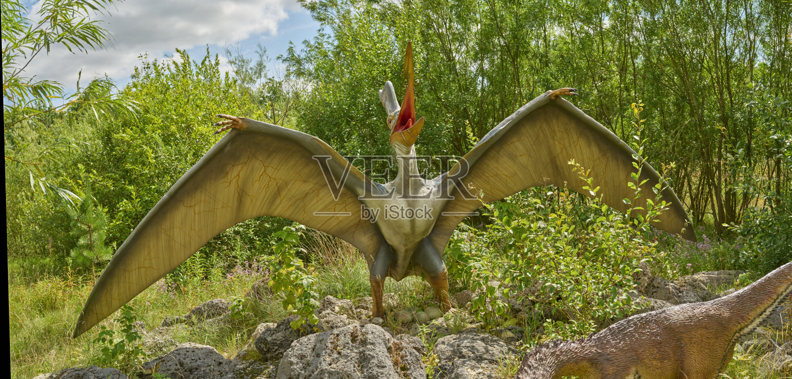 原始时代的茂密森林中展现的翼龙照片摄影图片