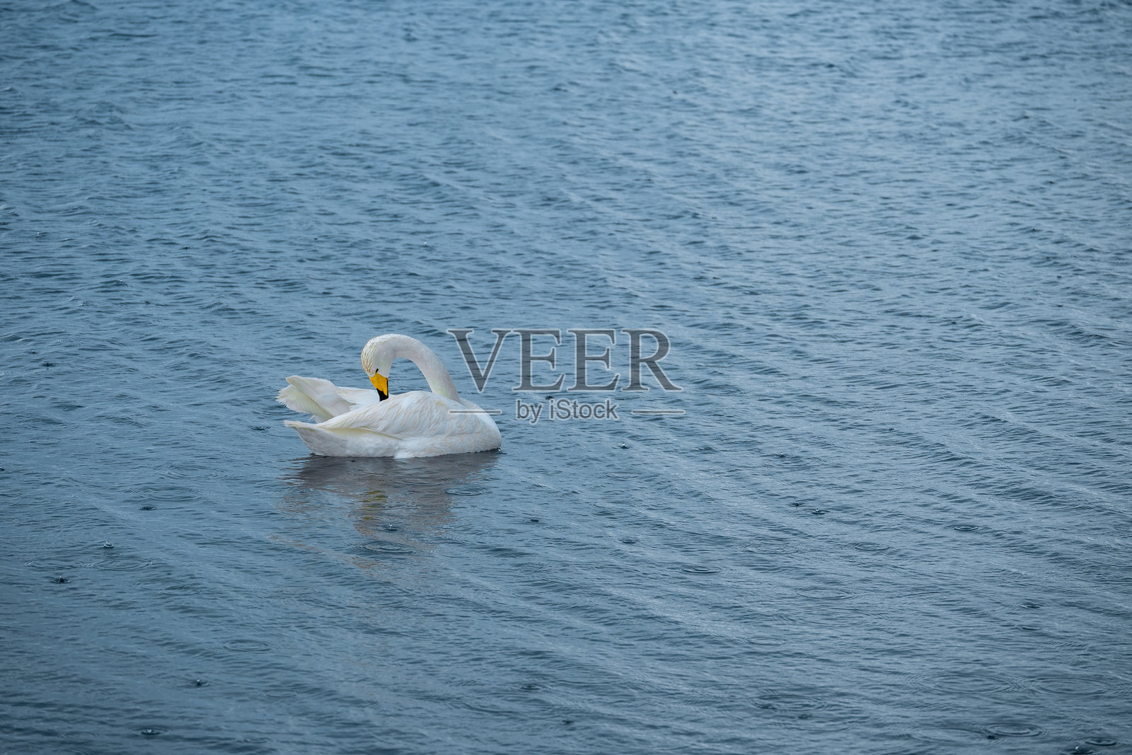 中国新疆维吾尔自治区博尔塔拉赛里木湖风景区照片摄影图片