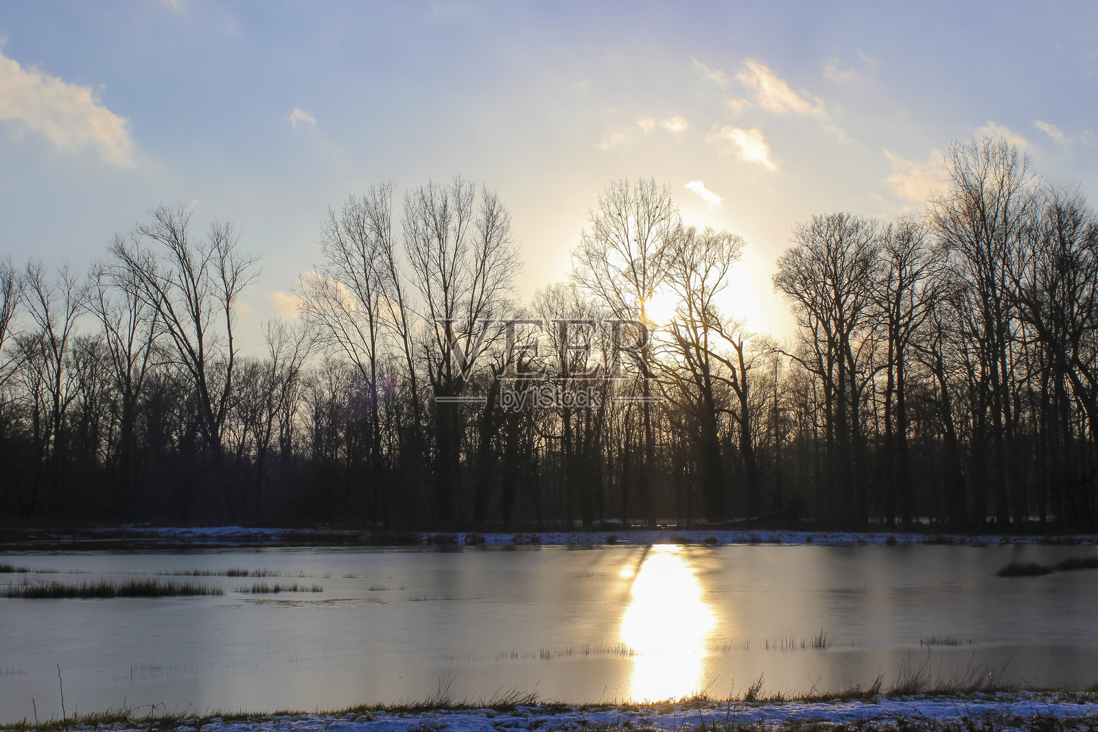 Heeze的雪2照片摄影图片