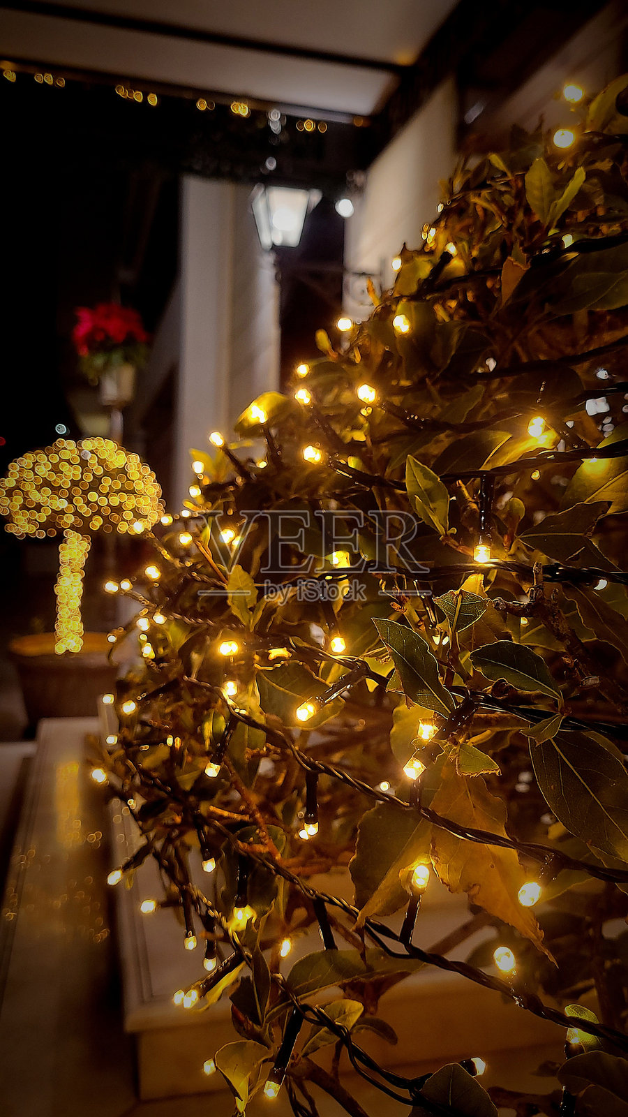 这张照片展示了一丛密密麻麻装饰着温暖黄色灯串的灌木。照片摄影图片
