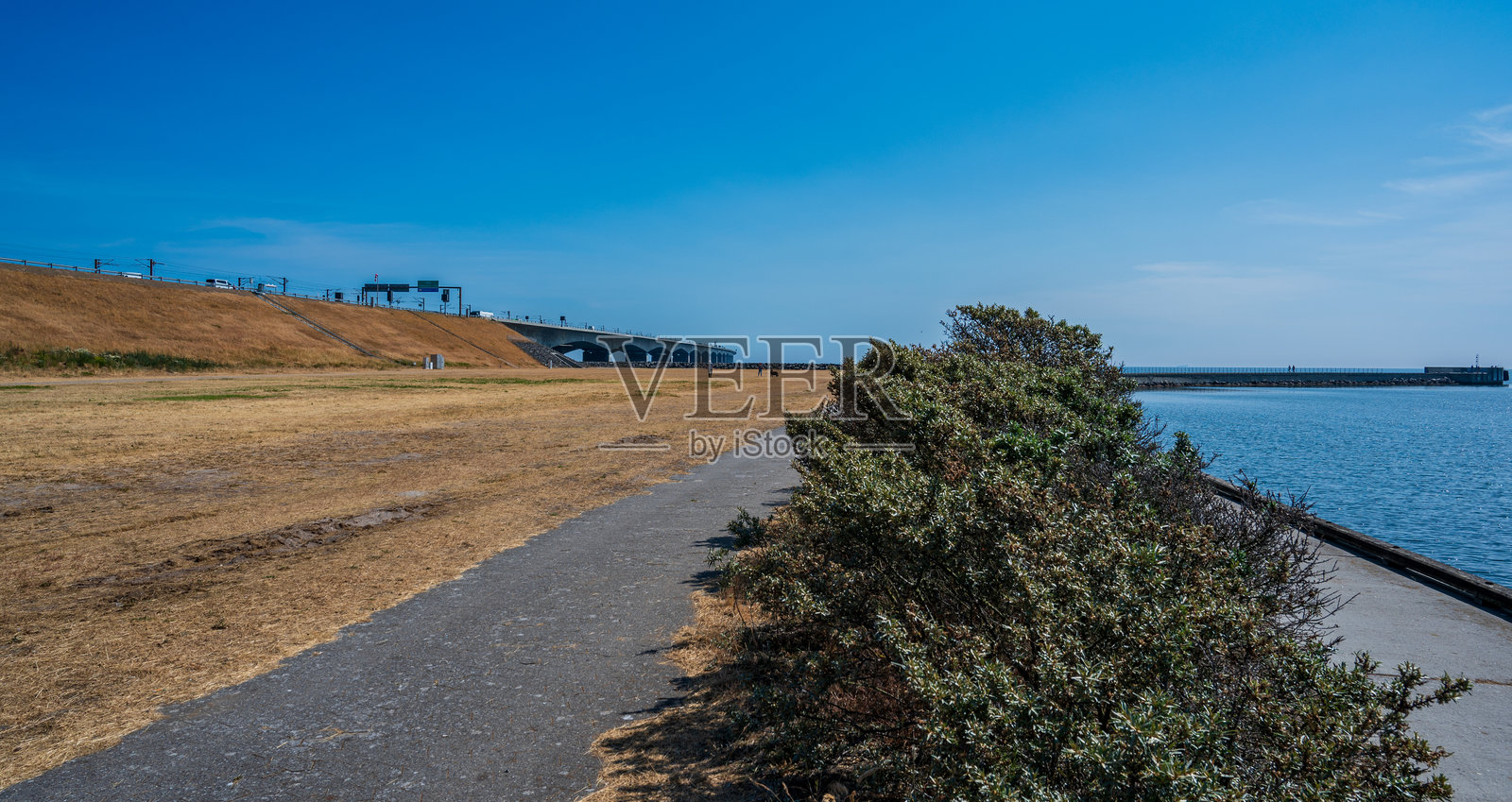 草地上有黄草，蓝色的大海和混凝土桥照片摄影图片