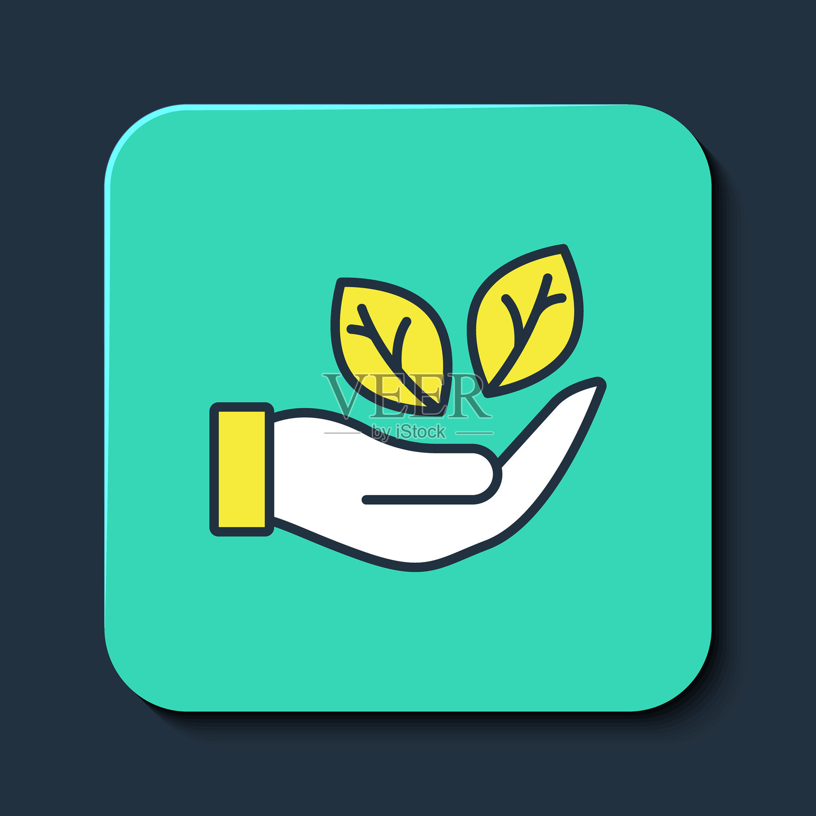 填充轮廓的手握植物叶子图标，背景为蓝色。关爱自然。叶芽与环境保护。青绿色方形按钮。矢量图。插画图片素材