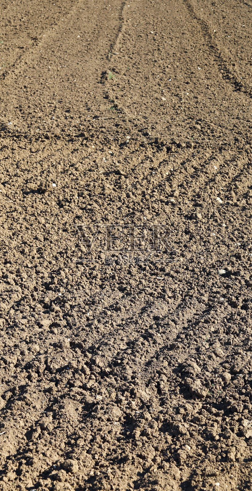 春季准备播种谷物的棕色耕地照片摄影图片