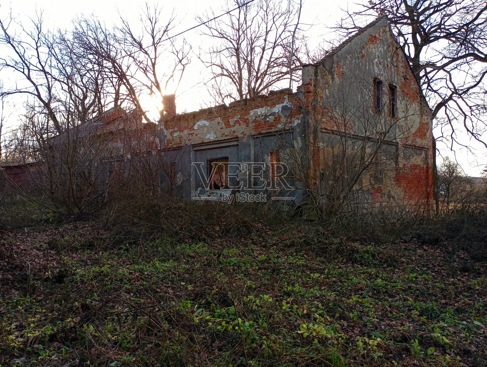 没有屋顶的旧砖建筑遗址，外面长满了树木和灌木丛。照片摄影图片
