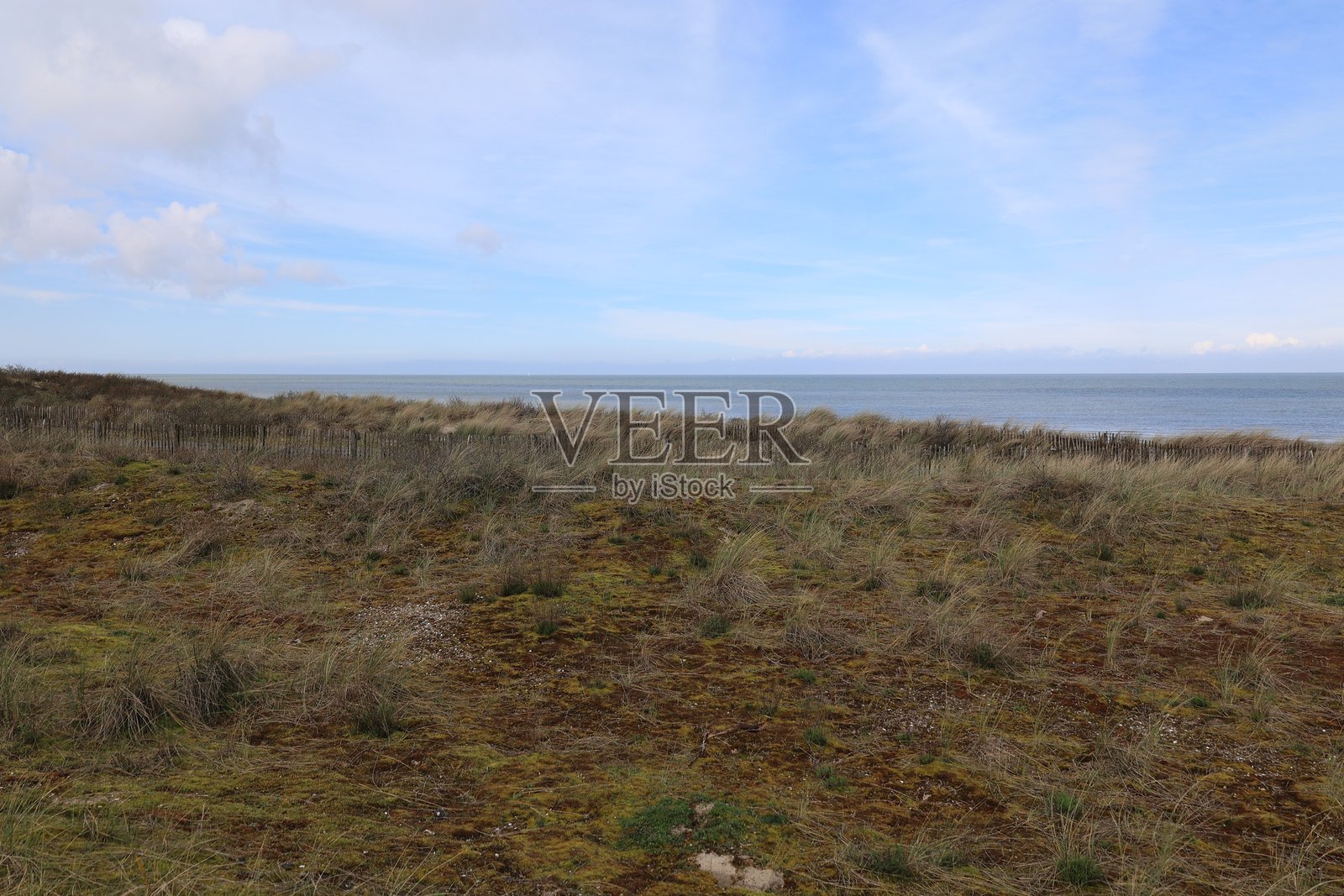 泽兰北海海岸的春天照片摄影图片