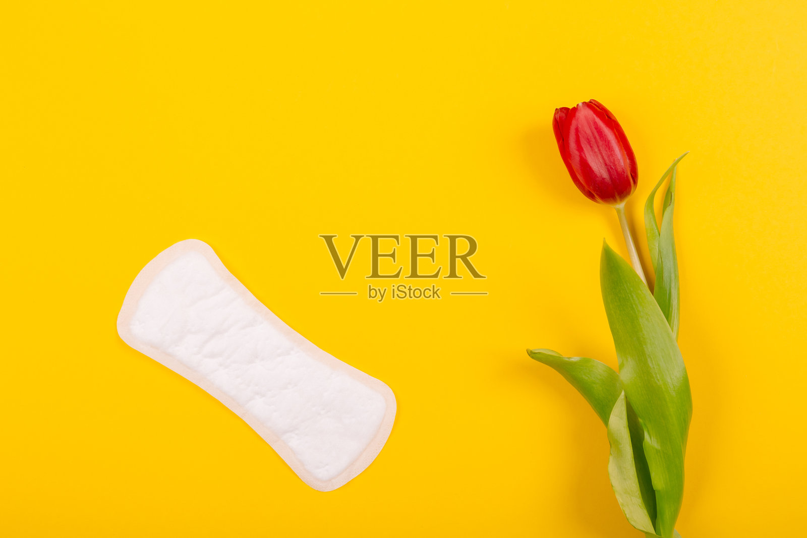 女性日常卫生巾，上面有红色郁金香花，背景为黄色。女孩的秘密。俯视布局。照片摄影图片