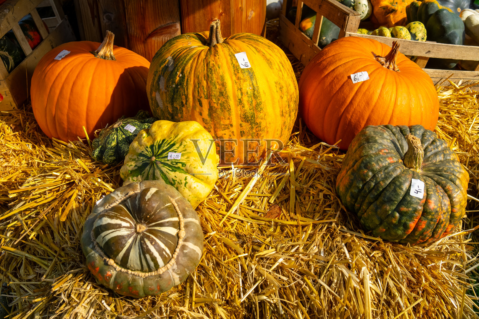 一个出售南瓜的摊位。照片摄影图片