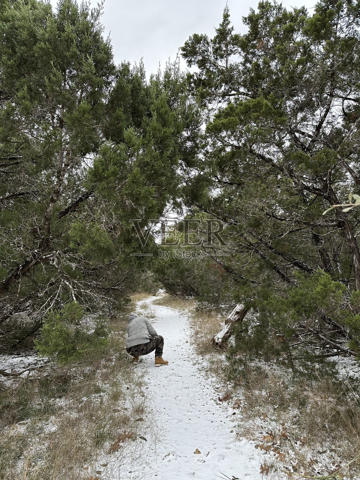 冬晨探险照片摄影图片