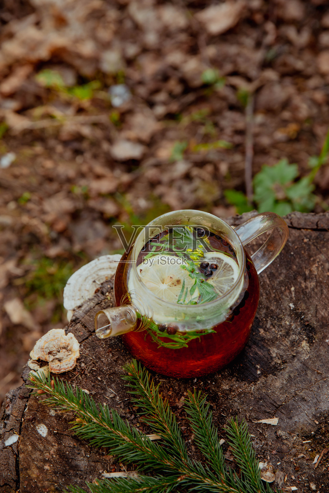自然野餐中的玻璃茶壶，配有柠檬和香草照片摄影图片