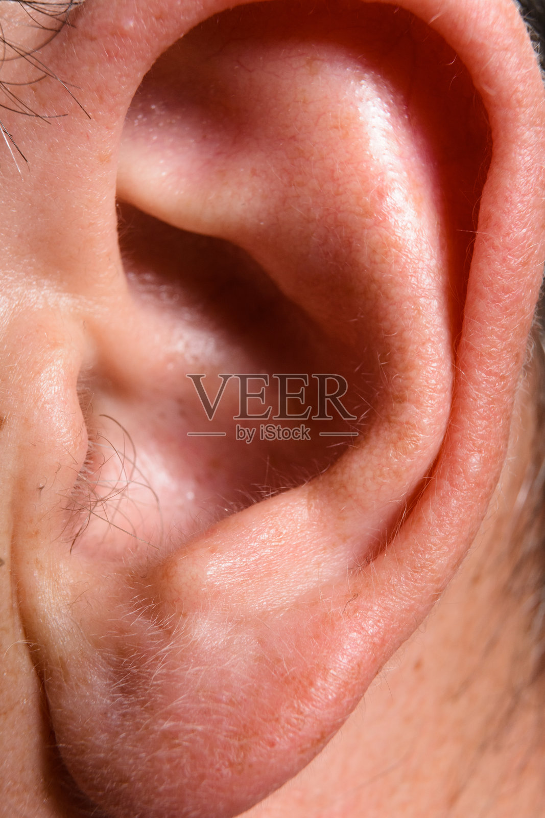 人耳特写照片摄影图片