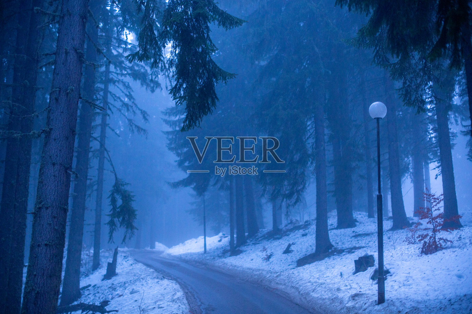 阴森雾霭笼罩的森林中间的道路照片摄影图片