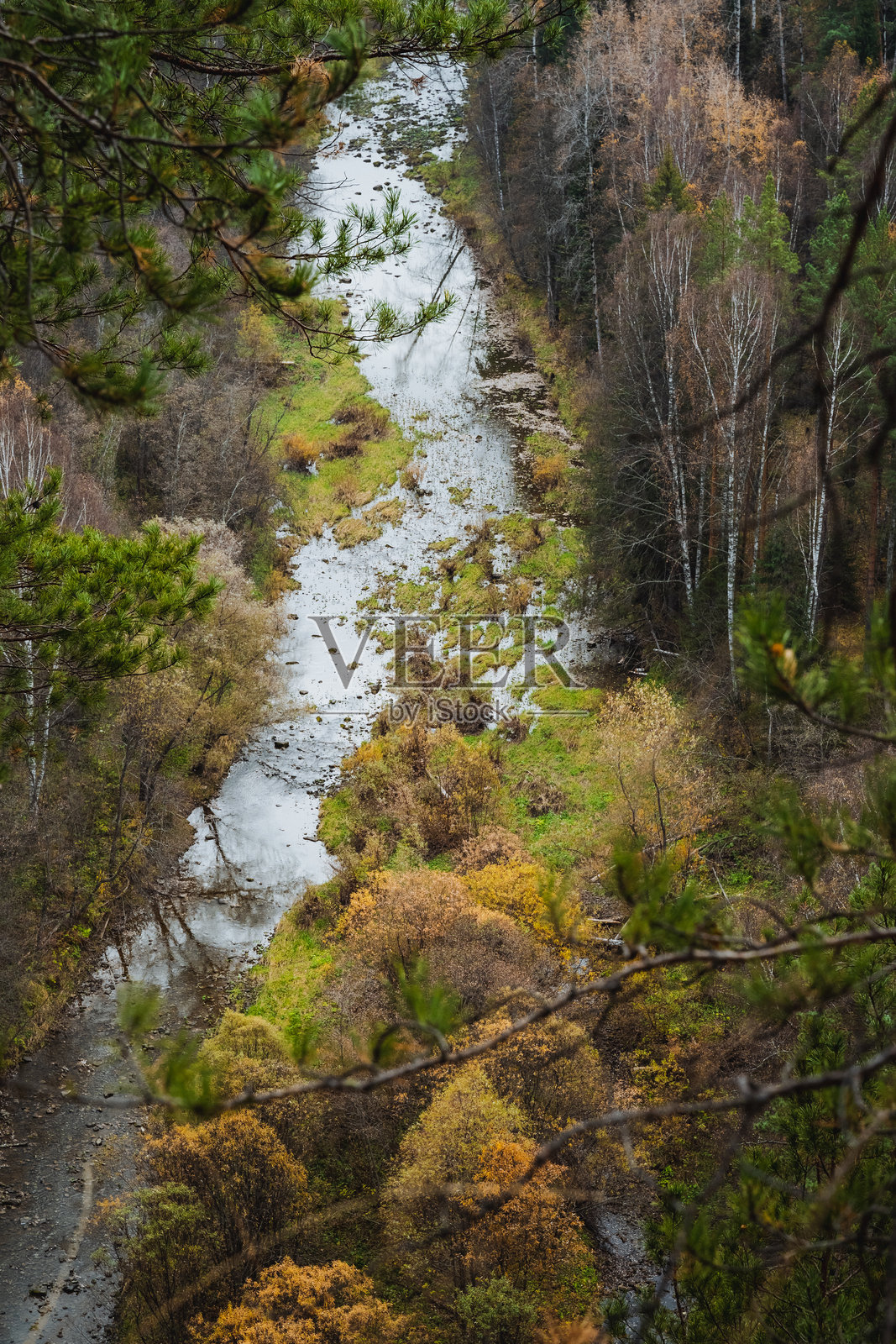 一条河流穿过郁郁葱葱的森林，四周环绕着树木照片摄影图片