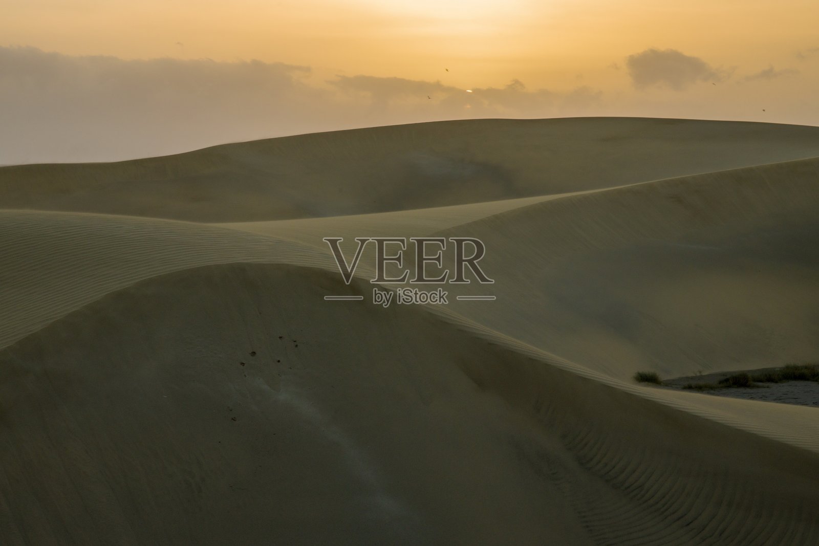 马斯帕洛马斯沙丘，日出或日落时的沙丘景观。照片摄影图片