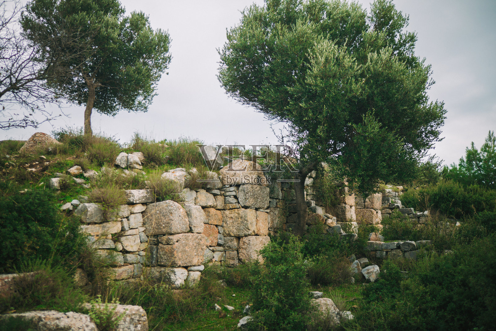 土耳其伊兹密尔的诺申古城遗址照片摄影图片