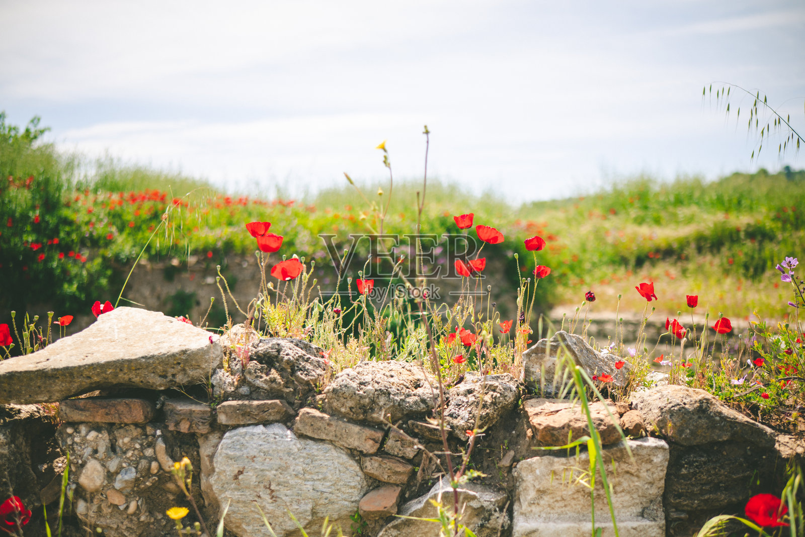 土耳其艾登的古城马格尼西亚遗址，展示了寺庙、剧院和石结构的遗迹照片摄影图片