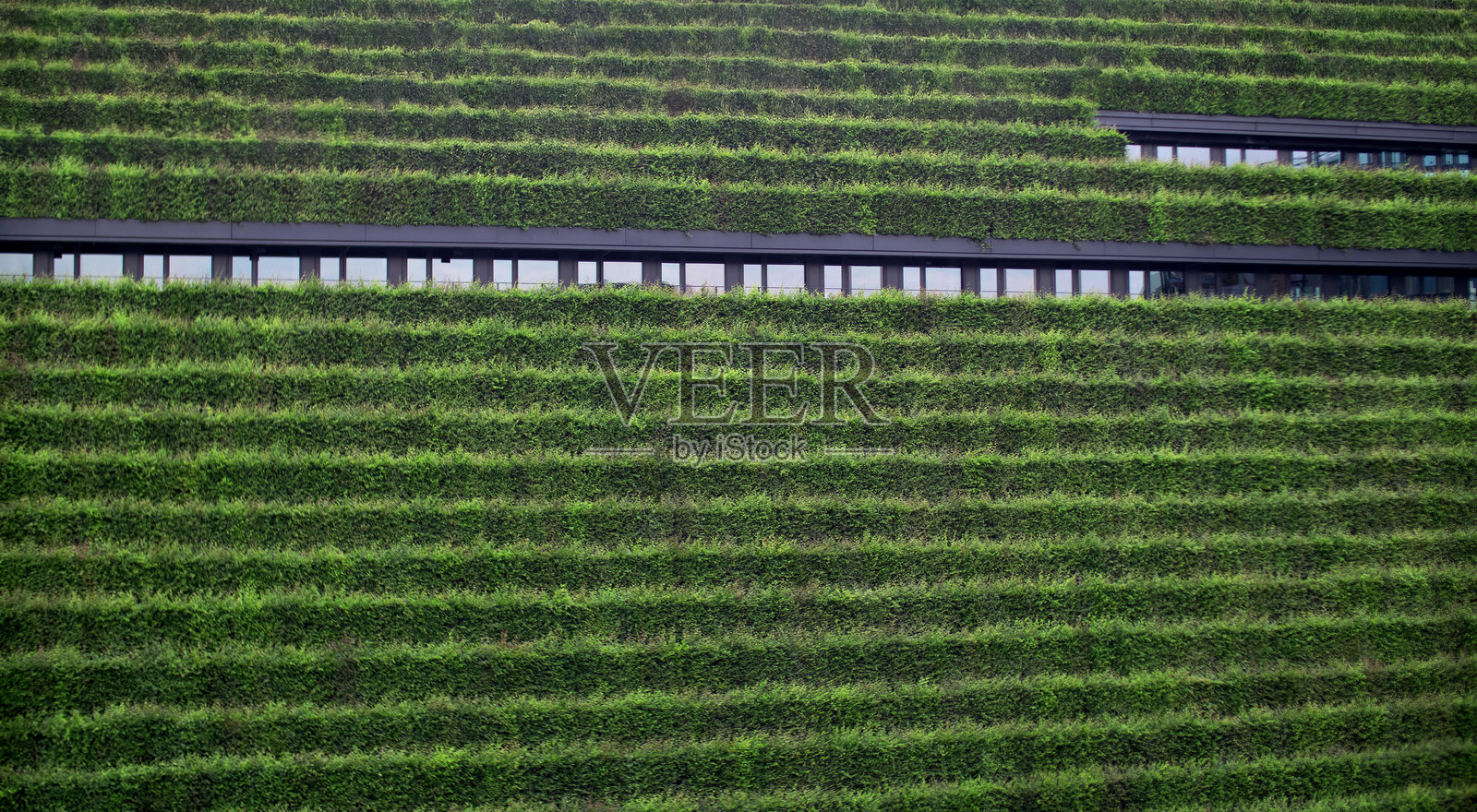 草地上的墙照片摄影图片