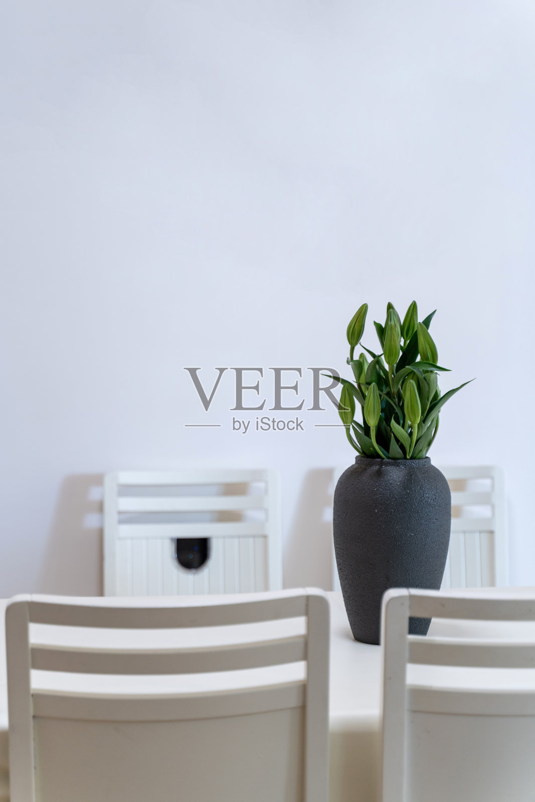 未绽放的绿色植物放在餐桌上的黑色陶瓷花盆里照片摄影图片