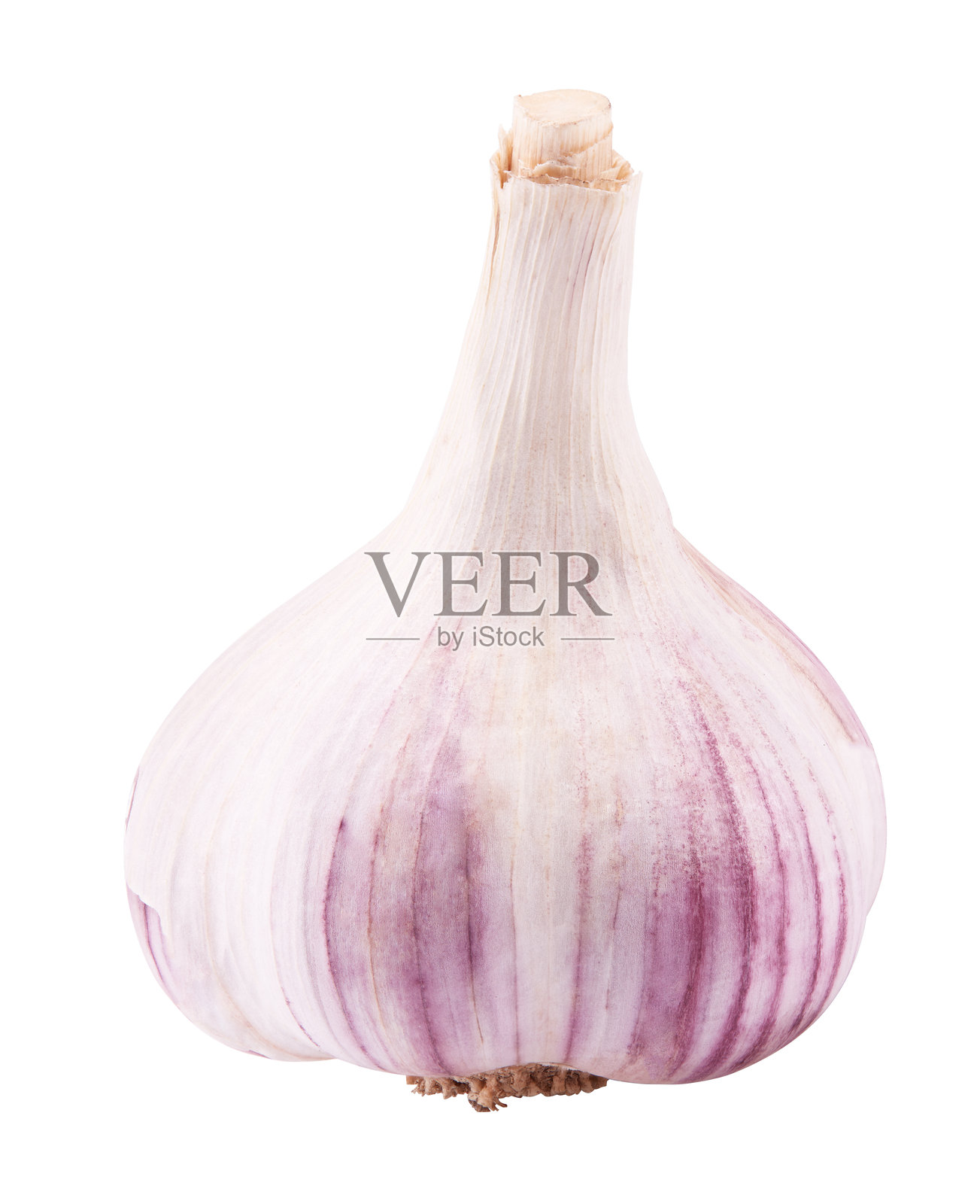 大蒜孤立在白色背景上。抠图路径。照片摄影图片