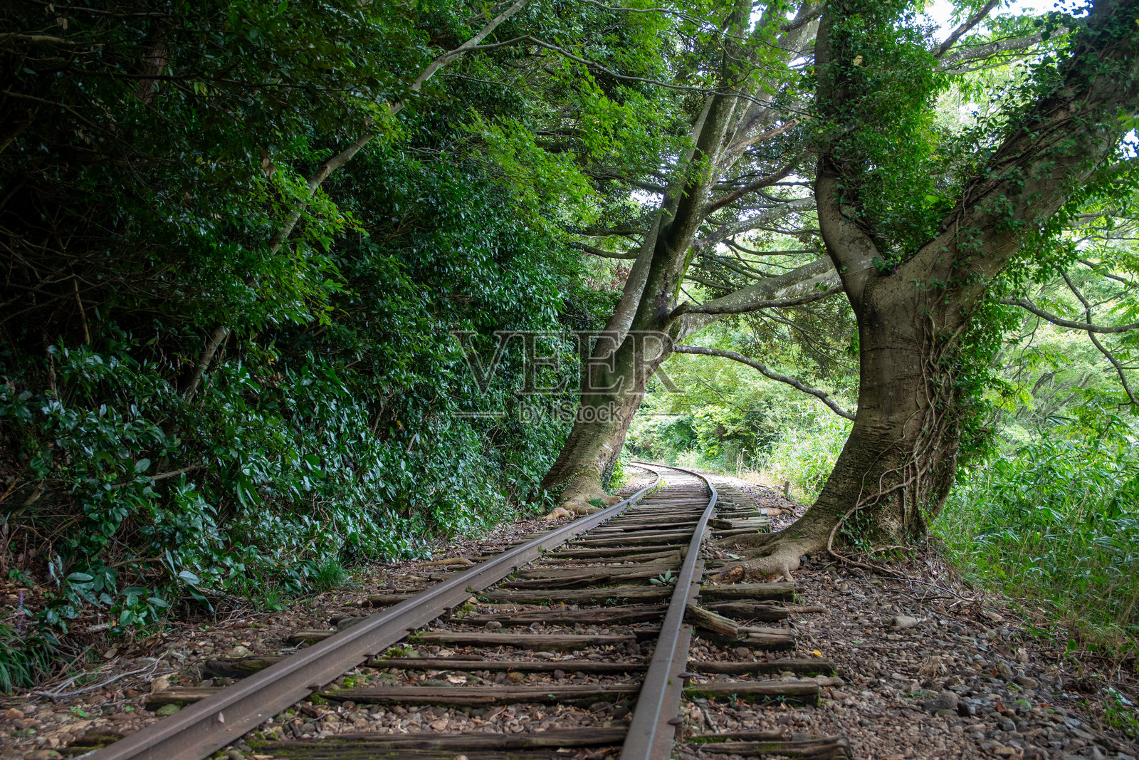 前国铁仓吉线废弃铁路遗址被称为日本最美的废弃铁路遗址。照片摄影图片