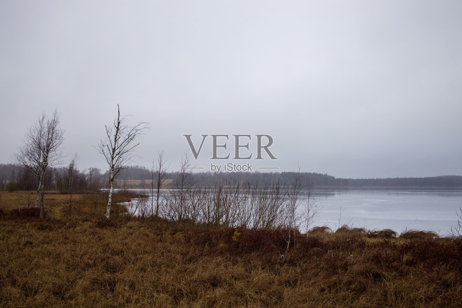 湖泊风景，稀疏的海岸线和阴云密布的天空。照片摄影图片