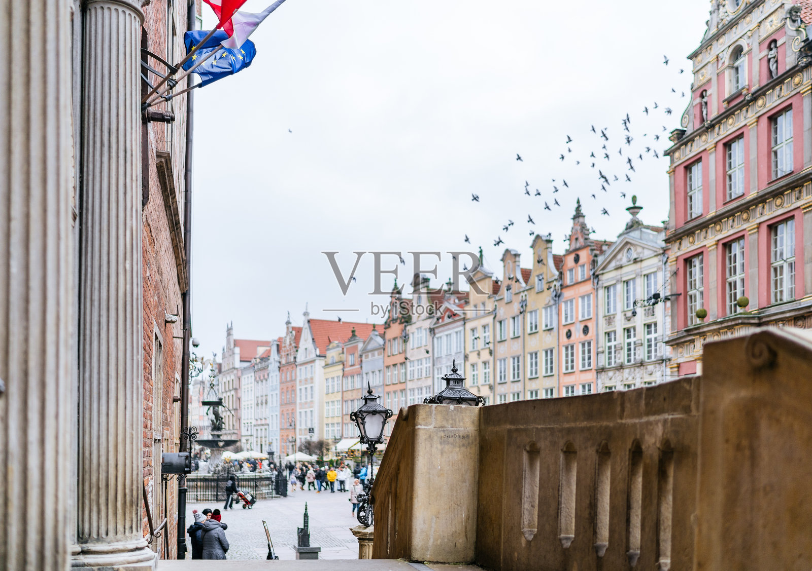 格但斯克老城历史悠久的色彩斑斓建筑与飞翔的鸟儿景观。照片摄影图片