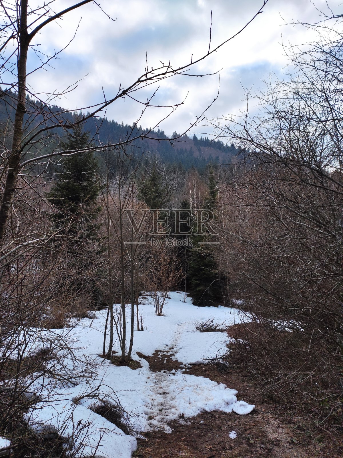 萨拉热窝的特雷贝维奇山照片摄影图片