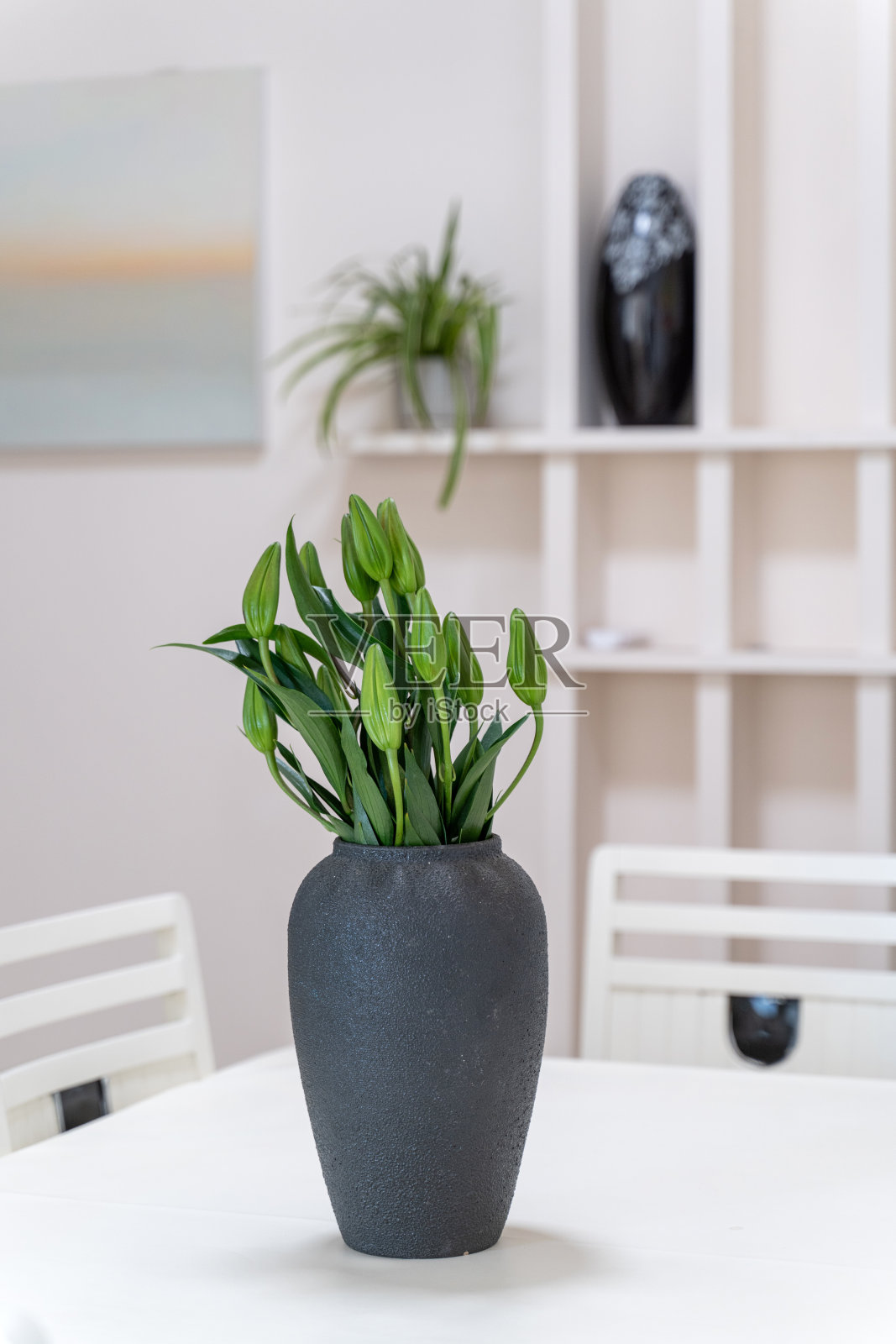 未绽放的绿色植物放在餐桌上的黑色陶瓷花盆里照片摄影图片