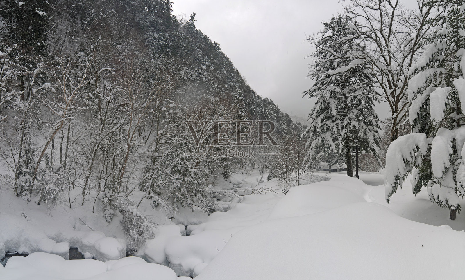 被雪覆盖的山河和森林照片摄影图片
