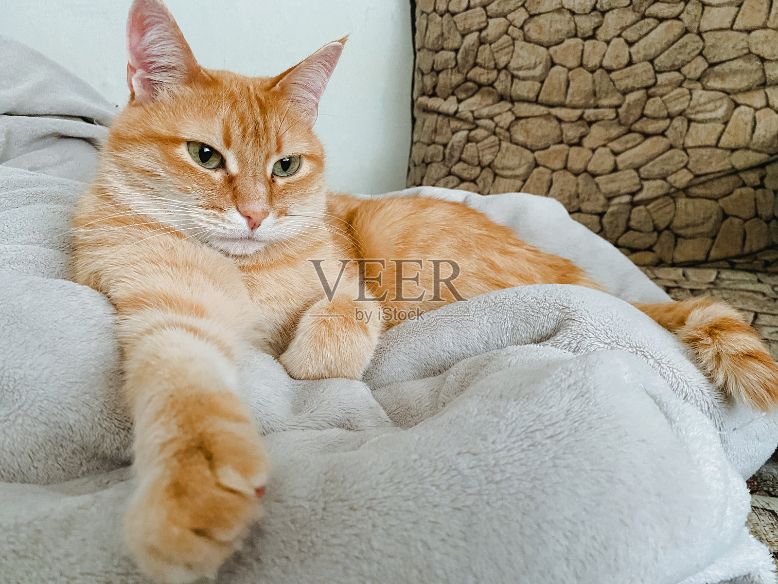 一只橙色的猫舒适地躺在柔软的白色毛毯上，尽情享受着温暖舒适的环境，沉浸在宁静的氛围中。照片摄影图片