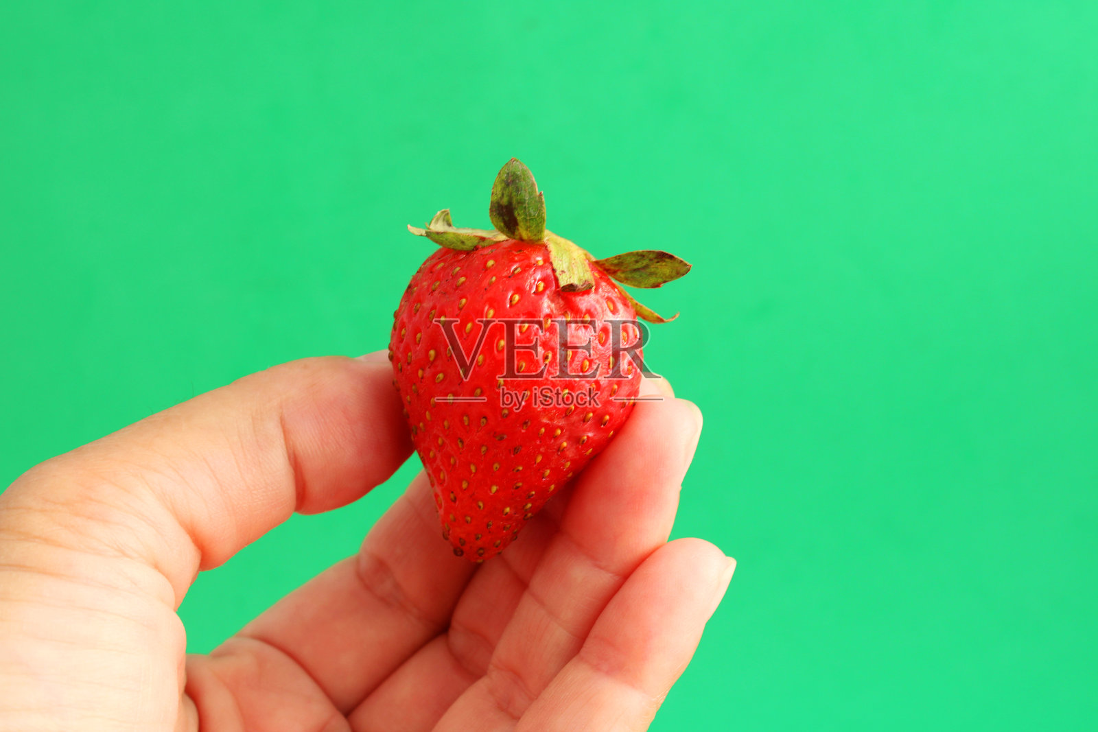 手握着一颗成熟的草莓照片摄影图片