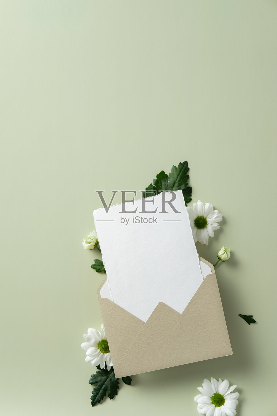 信封和空白卡片被白色雏菊和绿色叶子环绕，背景为浅绿色。母亲节快乐的概念照片摄影图片