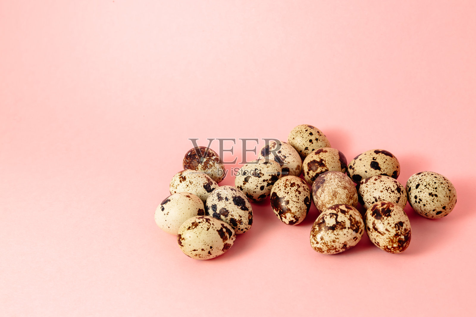 粉色背景上的鹌鹑蛋。留白空间。农产品。空白文本位置。复活节假日装饰的样板设计。健康食品。照片摄影图片