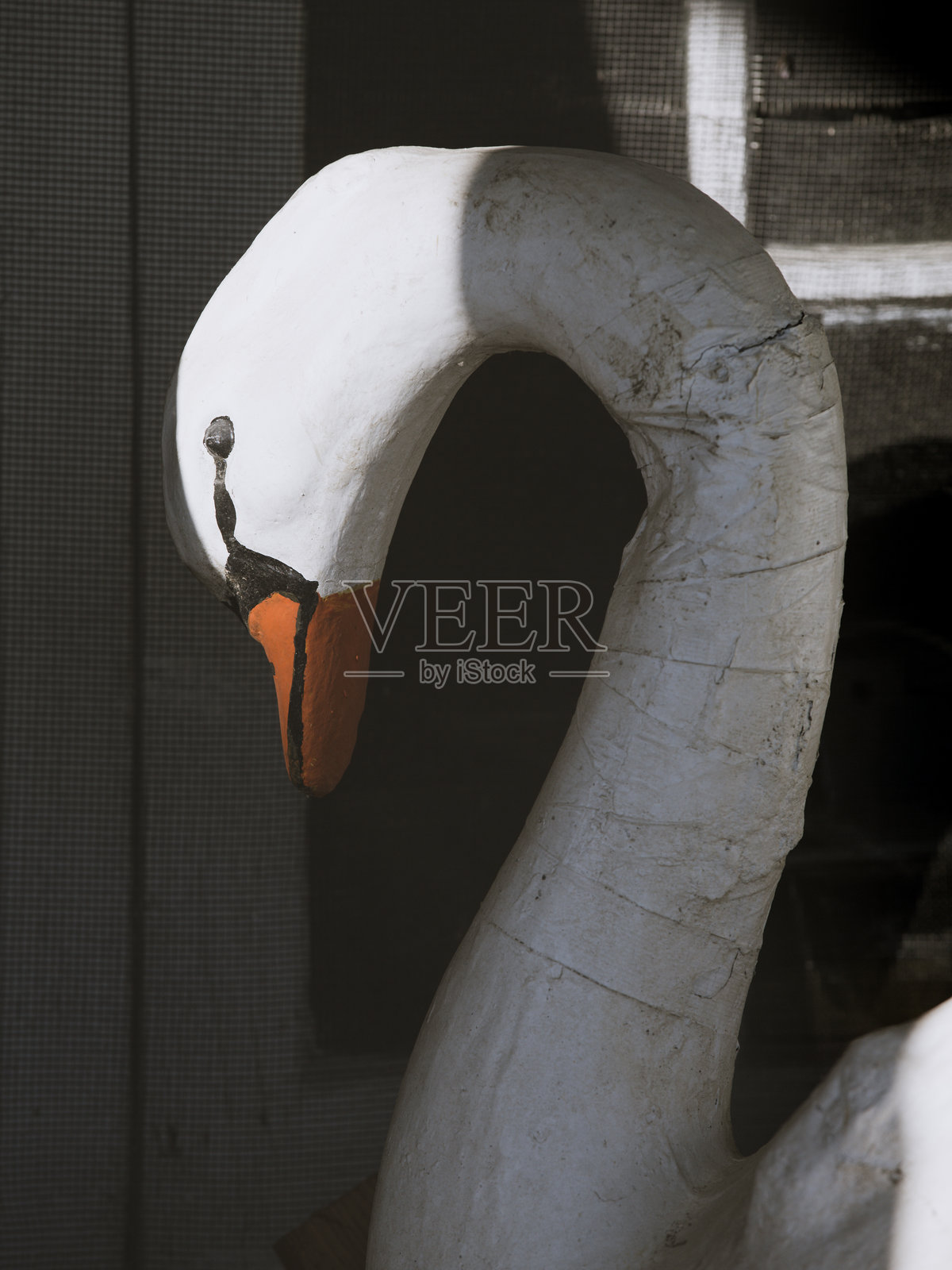 阴影中的木天鹅静物画照片摄影图片